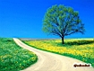 Sfondo: Spring Road