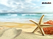 Sfondo: Starfish On Beach