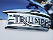 Triumph Logo