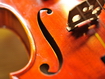 Violin Details