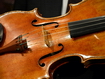 Violino