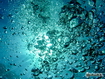 Sfondo: Water Bubbles