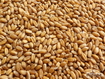 Sfondo: Wheat