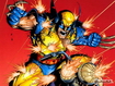 Sfondo: Wolverine Fight