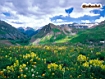 Sfondo: Yankee Boy Basin