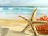 Sfondi mare gratis