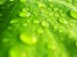 Sfondi natura gratis