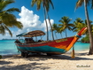 Sfondo: A Tropical Paradise
