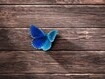 Sfondo: Blue Butterfly