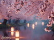 Japan River