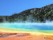 Midway Geyser