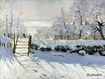 The Magpie