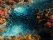 Paradise Water