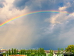 Sfondo: Rainbow After The Rain