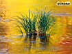 Riflessi del sole