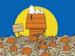 Sfondo: Snoopy Halloween