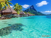 Sfondo: Tropical Island Paradise